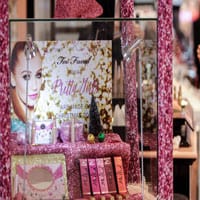 Too Faced Cosmetics History